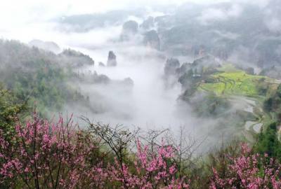 候鳥的選擇，彰顯湖南生態(tài)系統(tǒng)持續(xù)優(yōu)化